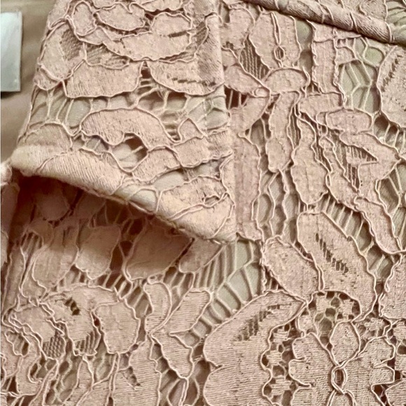Gorgeous Cupcakes and Cashmere Fall/Spring lace coat. Blush color. Size Small - Picture 7 of 11